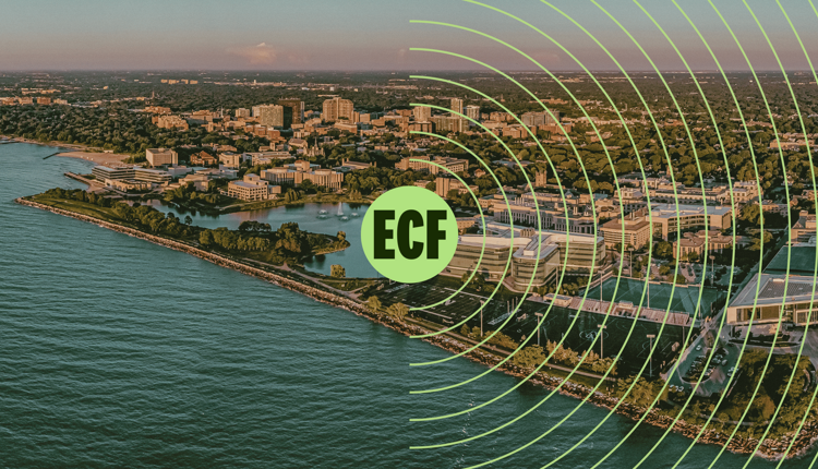 ECF thumbnail 2