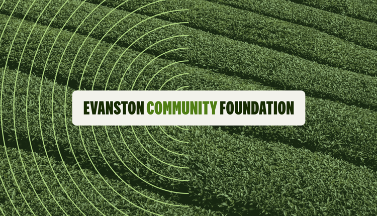 ECF thumbnail 2